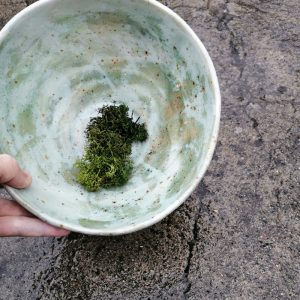 Alternative view of Miska duża v.3 - seria Hoppipolla