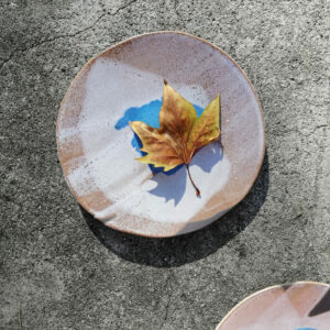 Alternative view of Patera duża - seria Lagoon