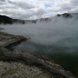 Alternative view of Talerz średni - seria Aotearoa