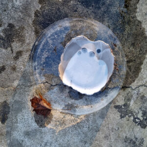 Alternative view of Talerz średni - seria Frozen