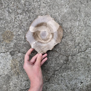 Alternative view of Small bowl - Canvas series