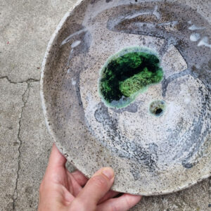 Alternative view of Miska bardzo duża - seria Hoppipolla