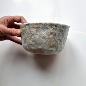 Alternative view of Miska średnia – seria Wetlands