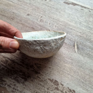 Alternative view of Small bowl - Wetlands series