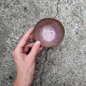 Alternative view of Miska mała - seria Terra