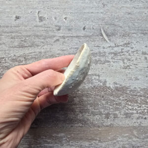 Alternative view of Miska bardzo bardzo mała - seria Wetlands